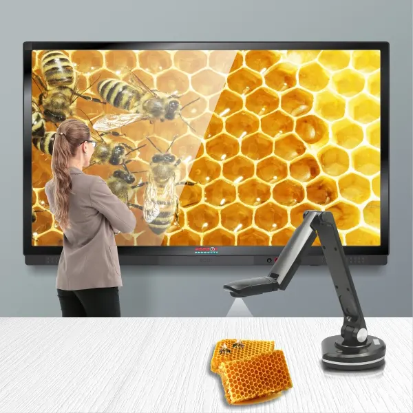 Visualizers Lifestyle 2