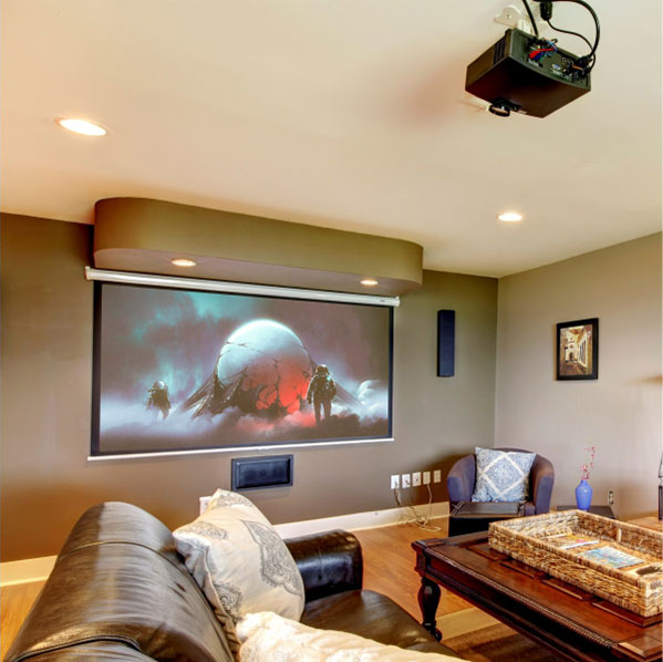 Parrot Home Theatre Projector Screen