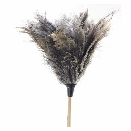 Feather Duster